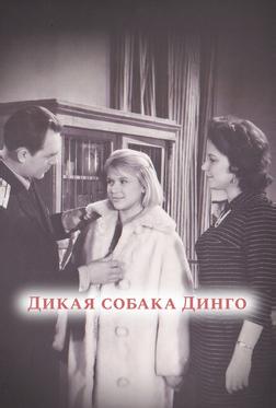 Дикая собака динго Дикая собака динго