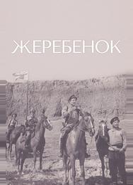Жеребенок