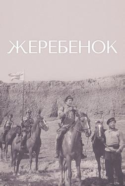 Жеребенок Жеребенок