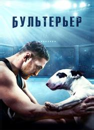 Бультерьер