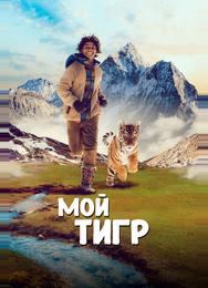 Мой тигр