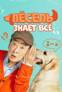 Пёсель знает всё Пёсель знает всё