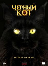 Черный кот