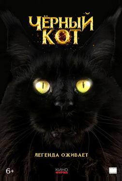 Черный кот