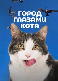 Город глазами кота