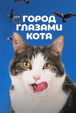 Город глазами кота Город глазами кота