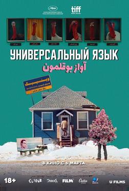 Универсальный язык Универсальный язык
