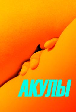 Акулы Акулы
