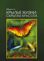 Крылья жизни: Скрытая красота