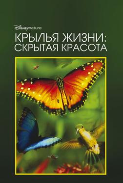 Крылья жизни: Скрытая красота Крылья жизни: Скрытая красота