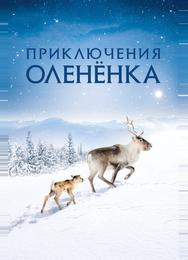 Приключения олененка