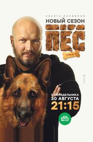 Пес (2015)