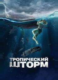 Тропический шторм