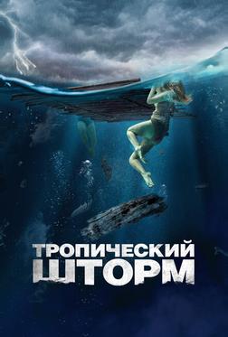 Тропический шторм Тропический шторм