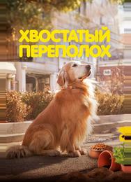 Хвостатый переполох