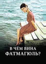 В чем вина Фатмагюль?