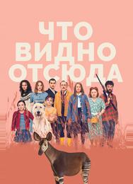Что видно отсюда