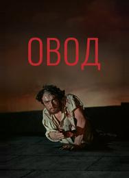Овод