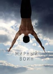 Мирный воин