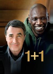 1+1