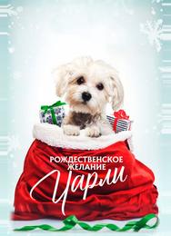 Рождественское желание Чарли