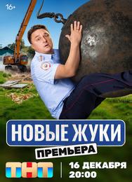 Жуки