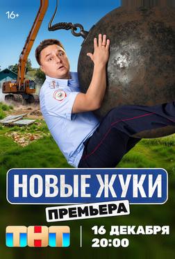 Жуки