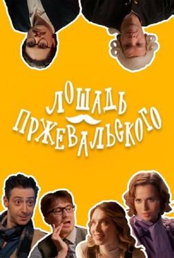 Лошадь Пржевальского Лошадь Пржевальского