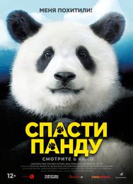 Спасти панду