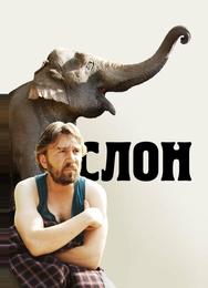 Слон