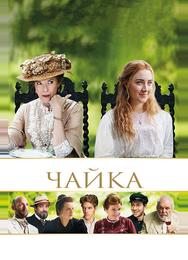 Чайка