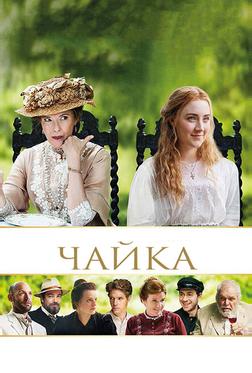 Чайка Чайка