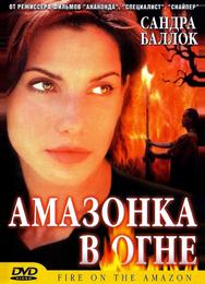 Амазонка в огне