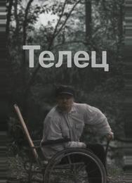 Телец