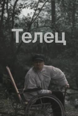 Телец