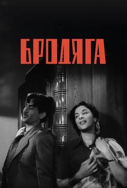 Бродяга