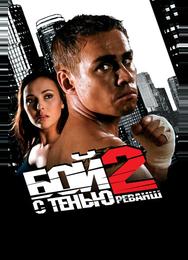 Бой с тенью 2: Реванш