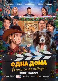 Одна дома: Великолепная пятерка