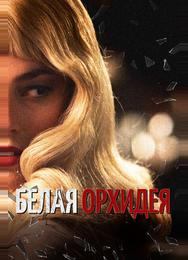 Белая орхидея