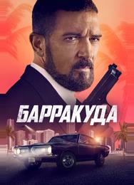 Барракуда