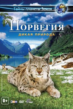 Норвегия 3D: Дикая природа Норвегия 3D: Дикая природа