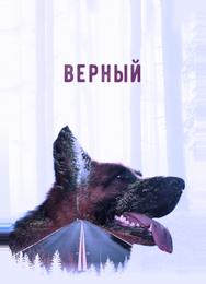 Верный