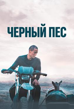 Чёрный пёс Чёрный пёс