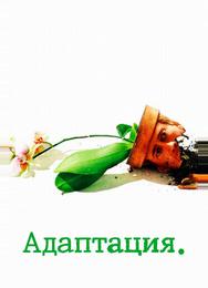 Адаптация