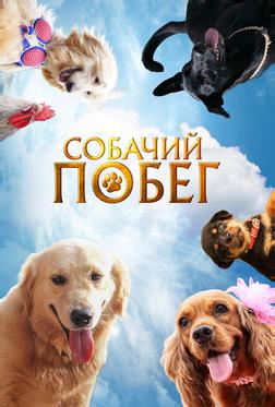 Собачий побег