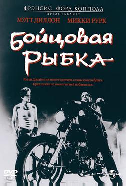 Бойцовая рыбка Бойцовая рыбка