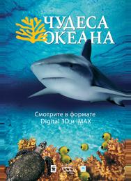 Чудеса океана