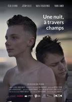 Однажды ночью через поля (2020)