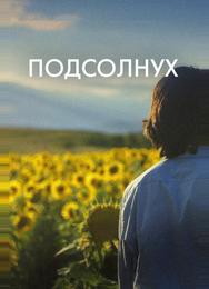 Подсолнух