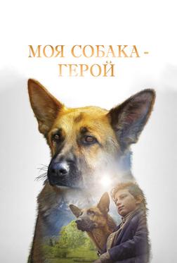 Моя собака — герой Моя собака — герой